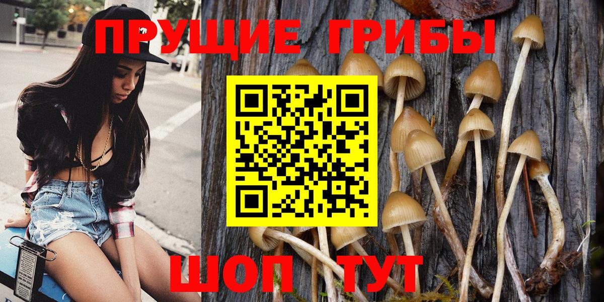 Галлюциногенные грибы прущие грибы Славгород